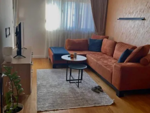 Izdavanje, jednosoban stan, 50m², Central Point, Podgorica