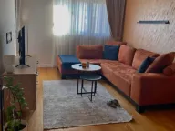 Izdavanje, jednosoban stan, 50m², Central Point, Podgorica - image 1