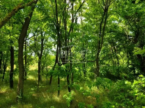 Prodaja, kuća, 63m², Srpski Šor, Subotica - image 14