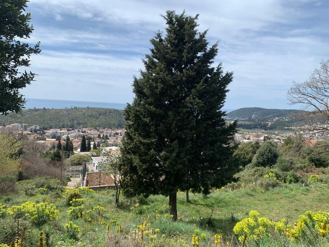 Prodaja, plac, 461m², Zankovići, Bar