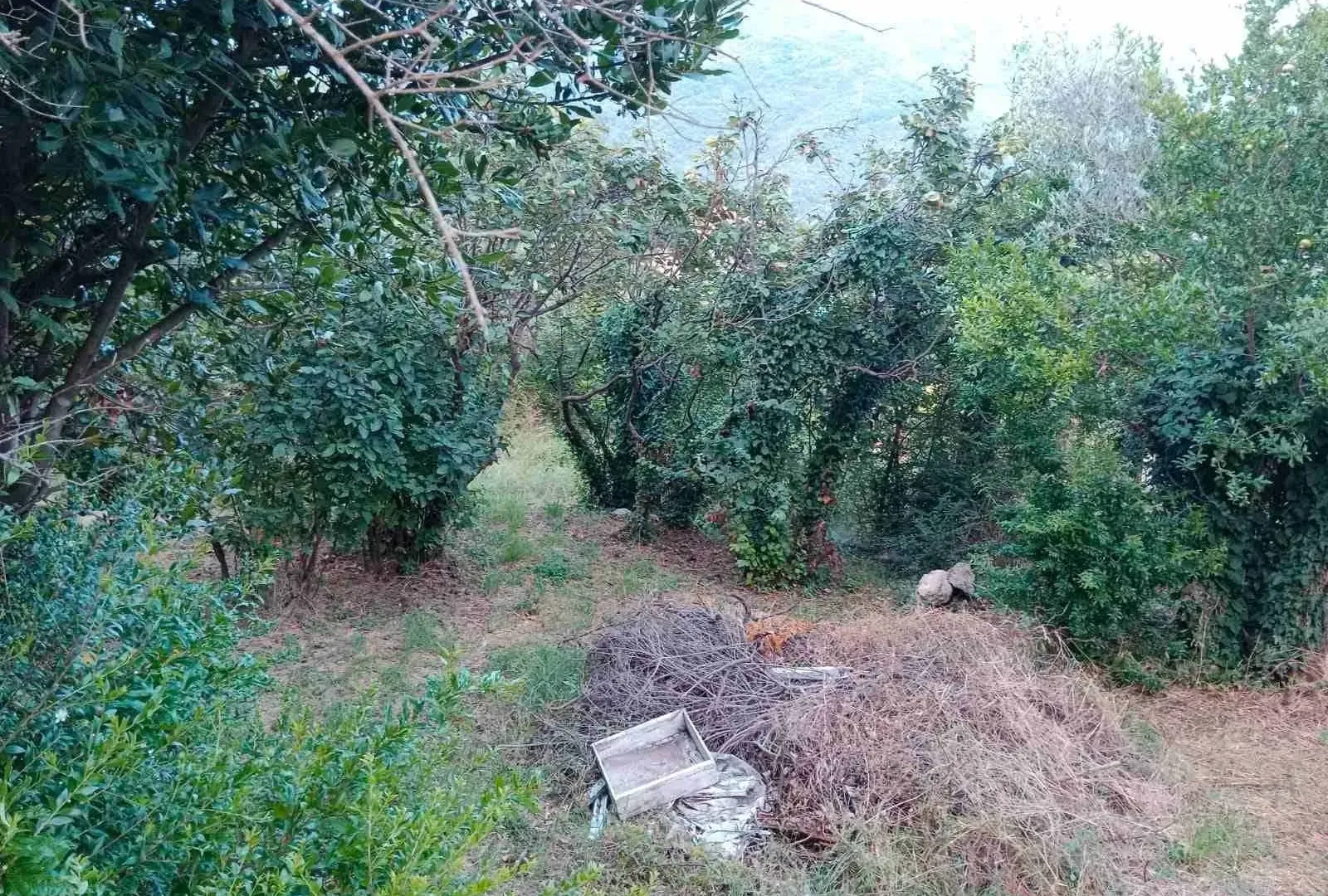 Prodaja, plac, 900m², Kamenari, Herceg Novi