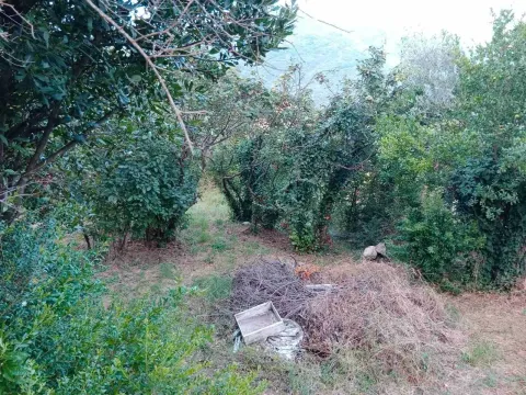 Prodaja, plac, 900m², Kamenari, Herceg Novi - image 5