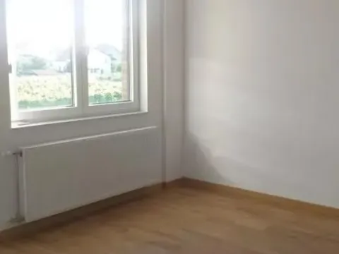 Rent, three bedroom apartment, 59m², Sremska Kamenica, Petrovaradin - image 7