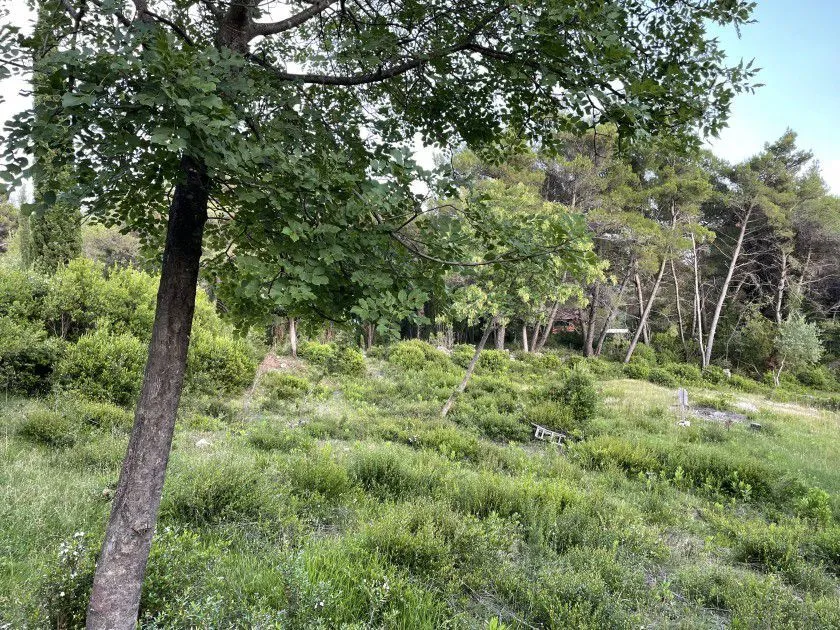 Prodaja, plac, 1353m², Herceg Novi, Crna Gora