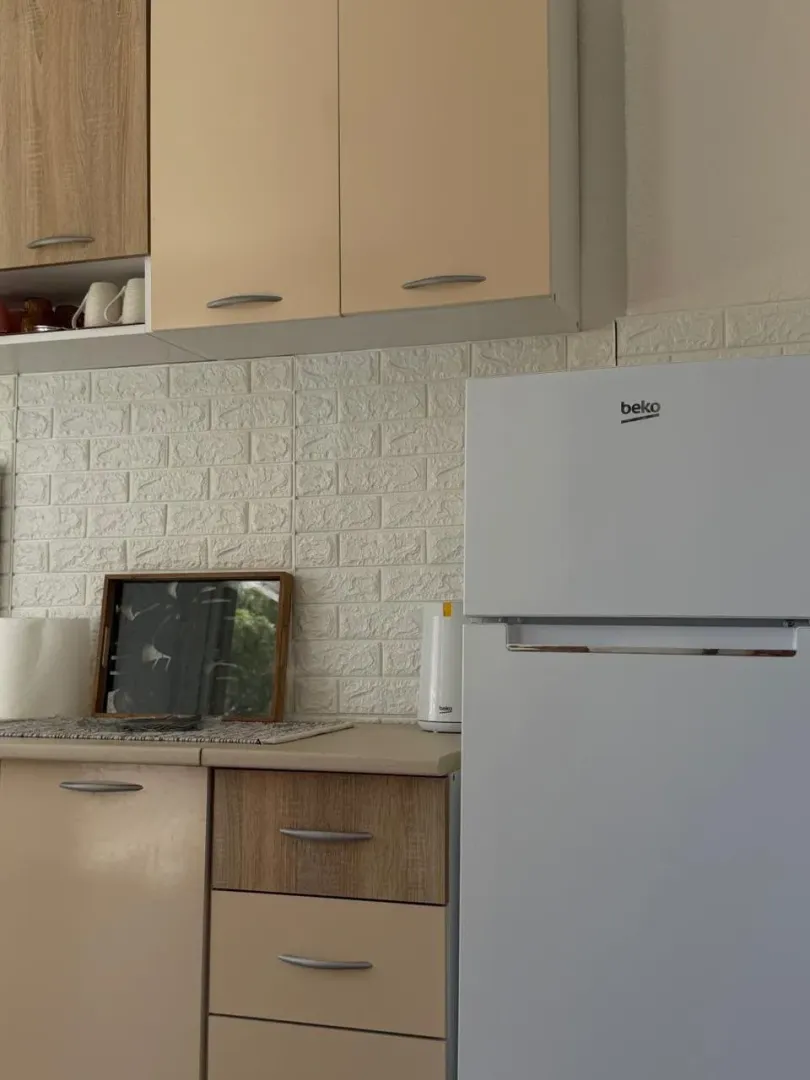 Part of the kitchen with kitchen cabinets and a refrigerator.