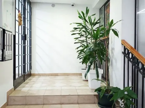 Rent, three bedroom apartment, 81m², Vračar Hram, Vračar Sve Podlokacije - image 17