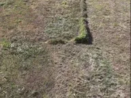 Sale, land lot, 103147m², Sladojevo Kopito, Danilovgrad - image 4