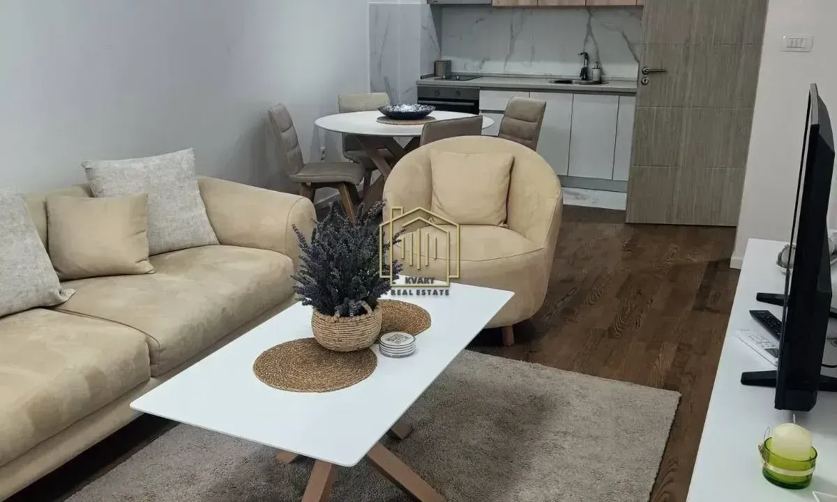 Rent, one bedroom apartment, 45m², Pobrežje, Podgorica