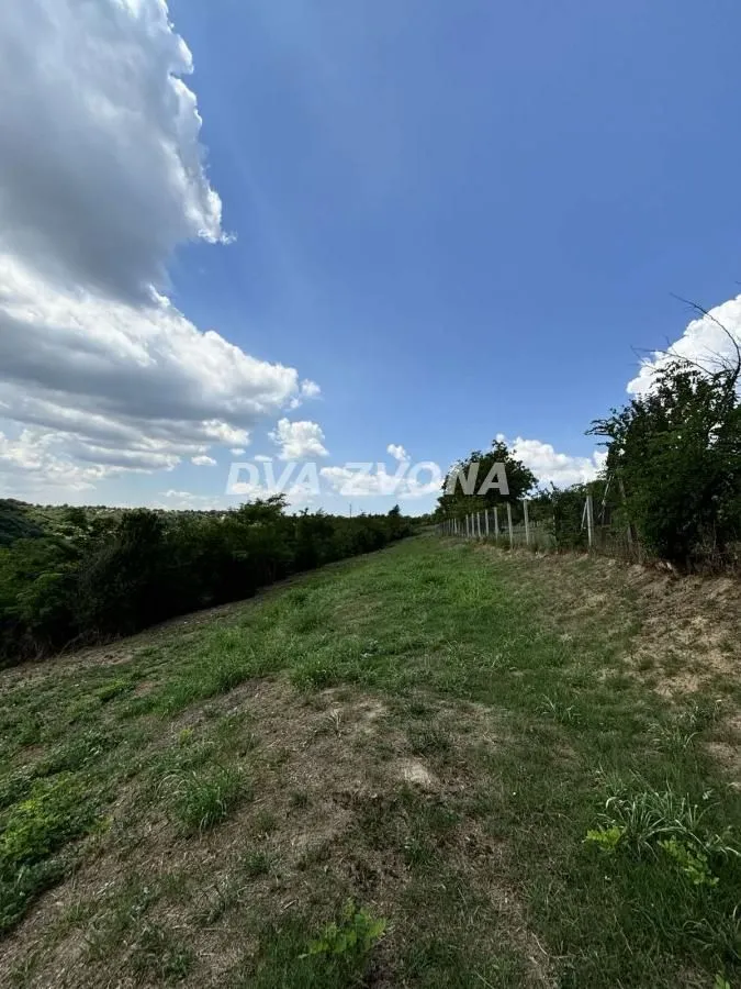 Prodaja, plac, 2500m², Čortanovci, Inđija