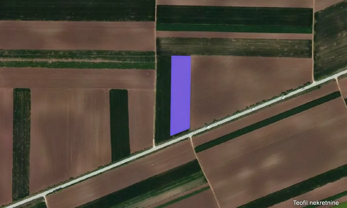 Sale, land lot, 8200m², Stari Banovci, Stara Pazova