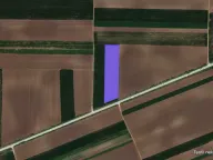 Sale, land lot, 8200m², Stari Banovci, Stara Pazova - image 1