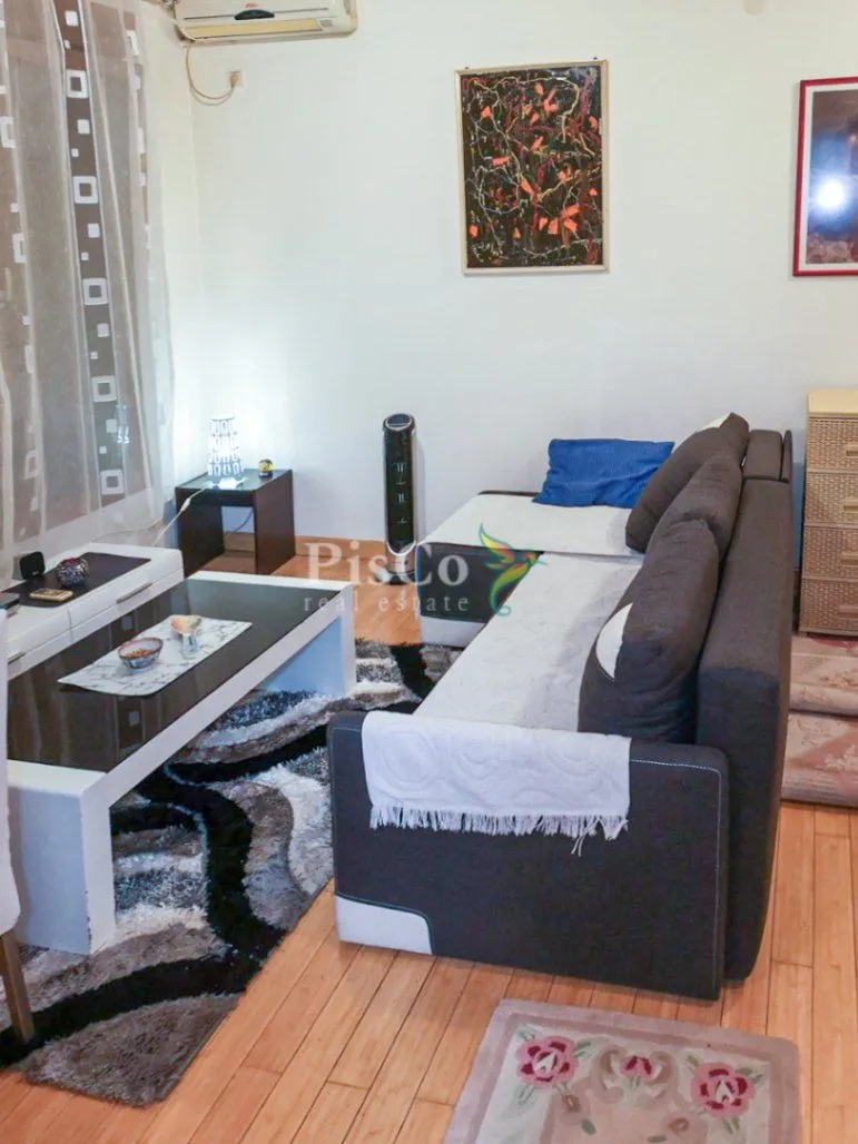 Izdavanje, jednosoban stan, 30m², Preko Morače, Podgorica