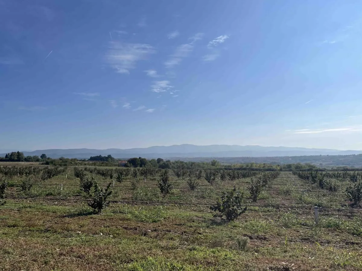 Prodaja, kuća, 95m², Siokovac, Jagodina