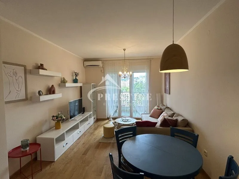 Rent, one bedroom apartment, 45m², Blok 6, Podgorica