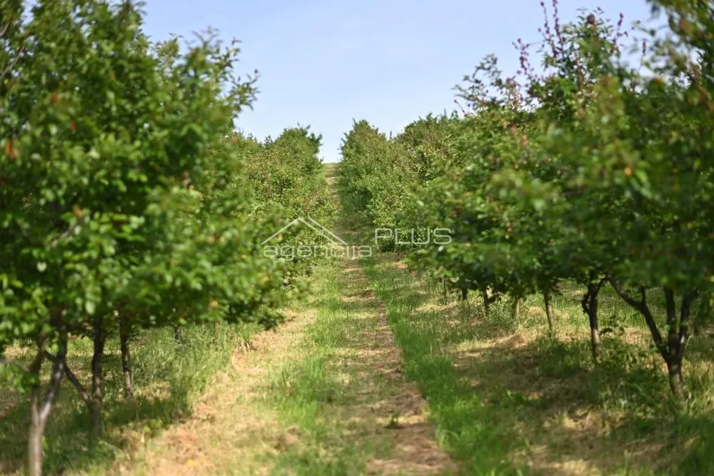 Prodaja, plac, 70000m², Grošnica, Kragujevac