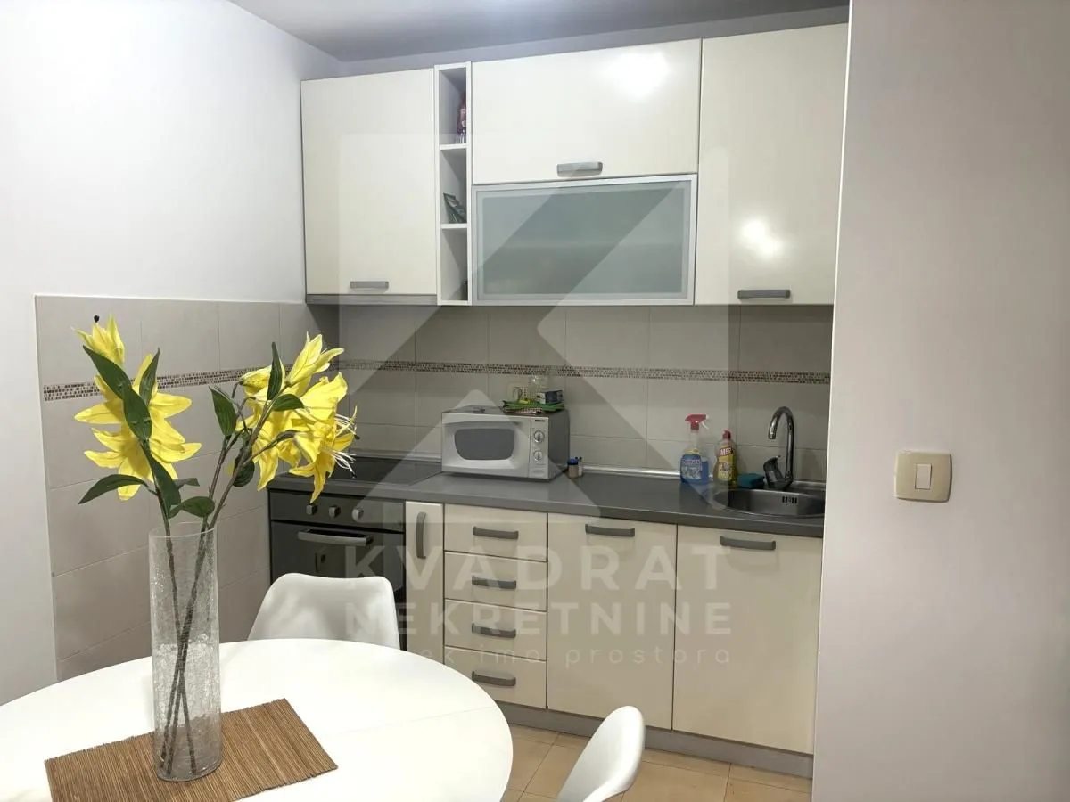 Rent, one bedroom apartment, 45m², Stari Aerodrom, Podgorica