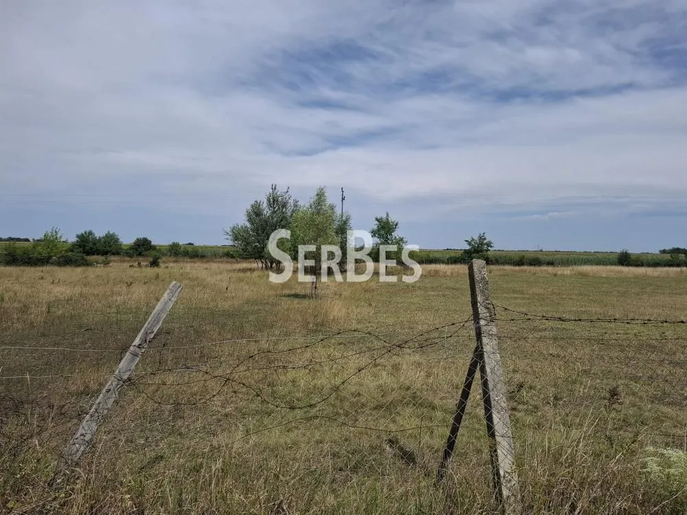 Prodaja, plac, 19197m², Čenej, Novi Sad Sve Podlokacije