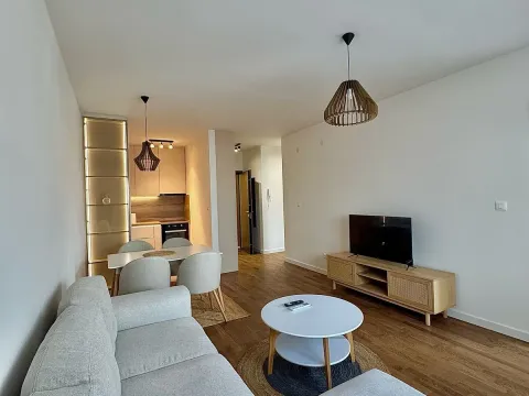 Izdavanje, jednosoban stan, 45m², Stari Aerodrom, Podgorica - image 6