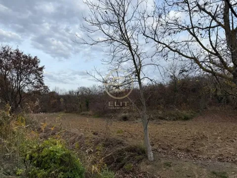 Sale, land lot, 24207m², Beočin, Srbija - image 17