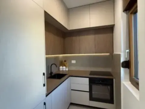 Izdavanje, jednosoban stan, 46m², Vezirov Most, Podgorica - image 2