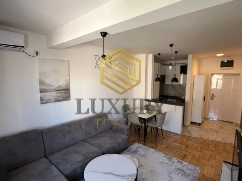 Rent, one bedroom apartment, 40m², Ljubović, Podgorica - image 5