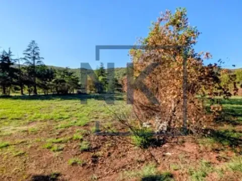 Prodaja, kuća, 121m², Lješanska Nahija, Podgorica - image 6