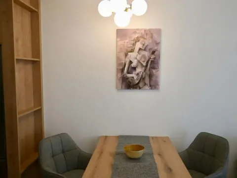 Izdavanje, jednosoban stan, 43m², Zabjelo, Podgorica - image 3