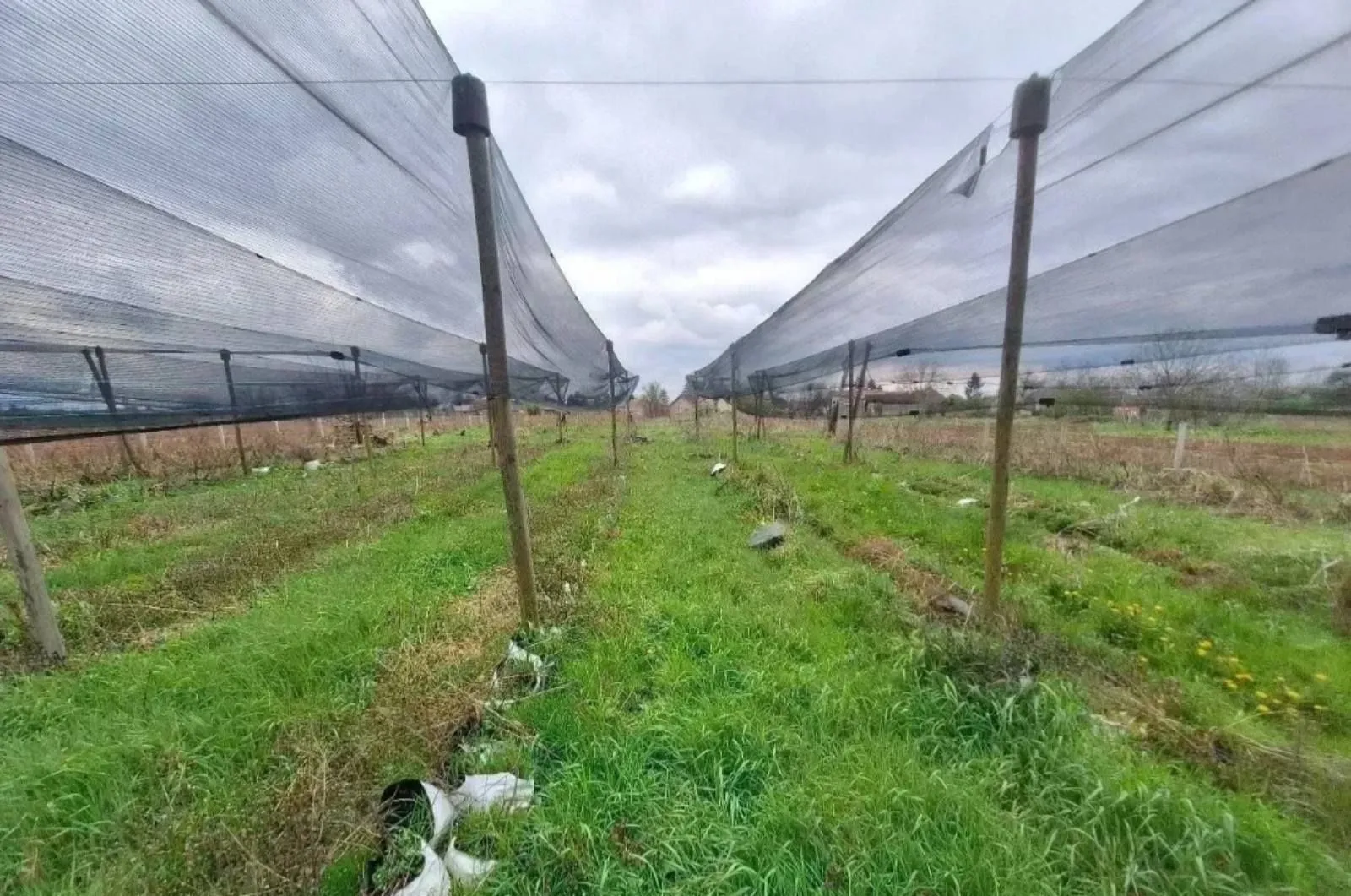 Sale, land lot, 10800m², Šabac, Srbija