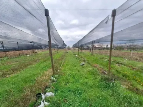 Sale, land lot, 10800m², Šabac, Srbija - image 3