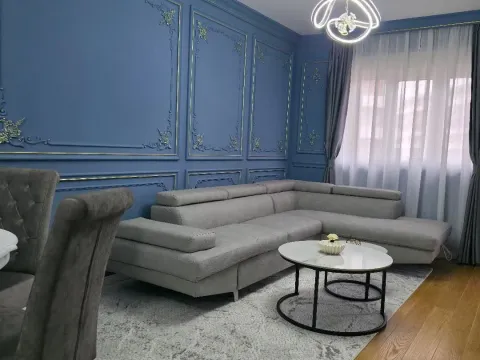 Izdavanje, jednosoban stan, 50m², Central Point, Podgorica - image 1