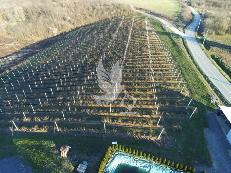 Prodaja, plac, 20000m², Nemenikuće, Sopot