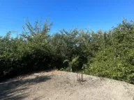 Prodaja, plac, 397m², Podi, Herceg Novi - image 4