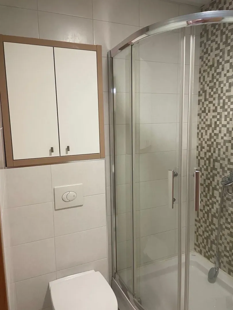 Compact bathroom with a shower cabin, toilet, and wall cabinet.