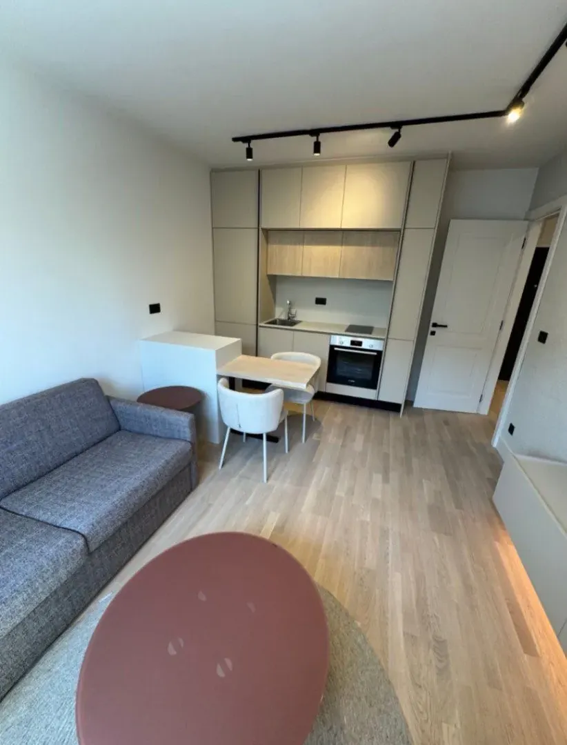Izdavanje, jednosoban stan, 40m2, Preko Morače, Podgorica