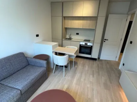 Izdavanje, jednosoban stan, 40m², Preko Morače, Podgorica - image 1