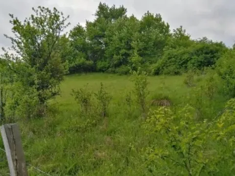 Prodaja, plac, 1460m², Kremna, Užice - image 6