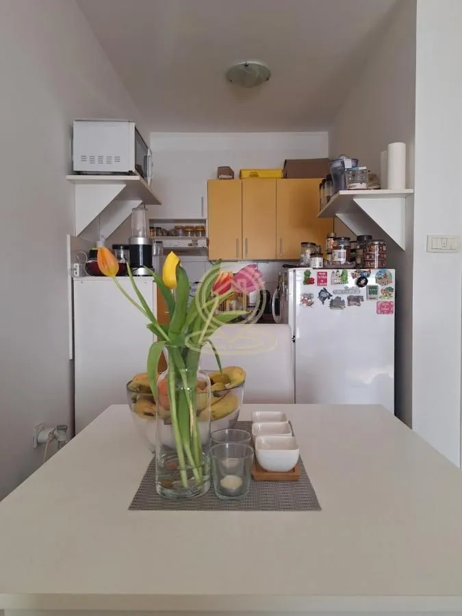 Prodaja, dvosoban stan, 50m², Telep, Novi Sad Sve Podlokacije