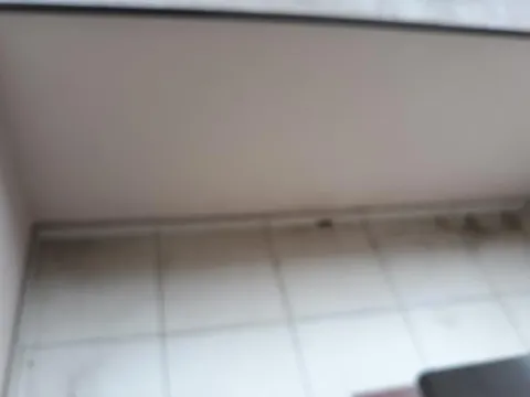 Rent, one bedroom apartment, 42m², Bulevar Oslobodjenja, Novi Sad Sve Podlokacije - image 12