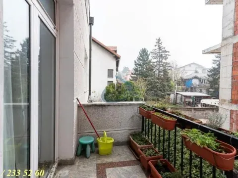 Prodaja, kuća, 491m², Zvezdarska Šuma, Zvezdara Sve Podlokacije - image 12