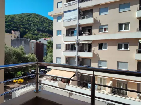 Rent, one bedroom apartment, 40m², Golubovina, Budva - image 7