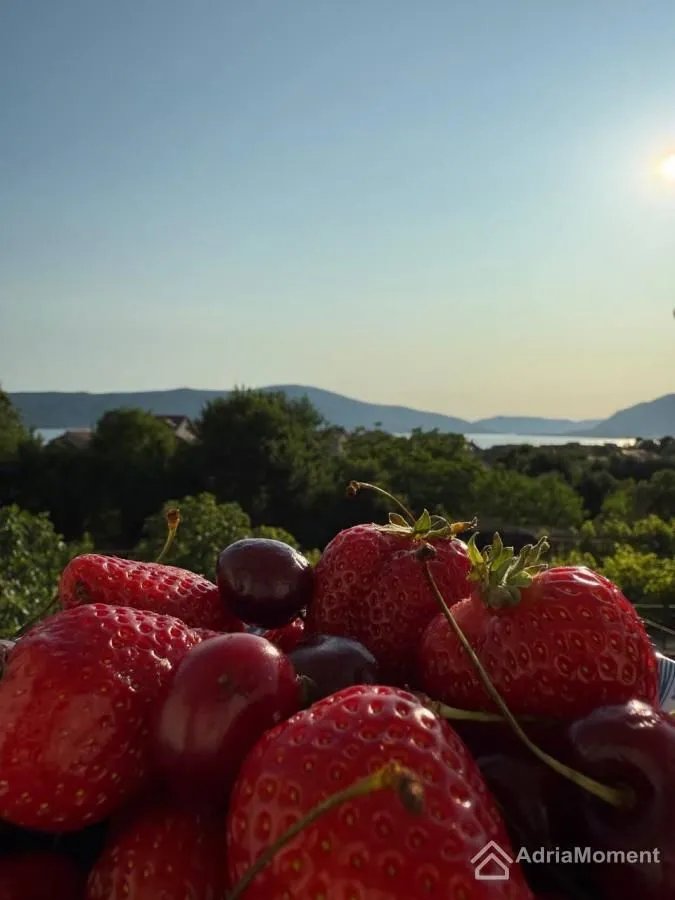 Prodaja, garsonjera, 27m², Centar, Tivat