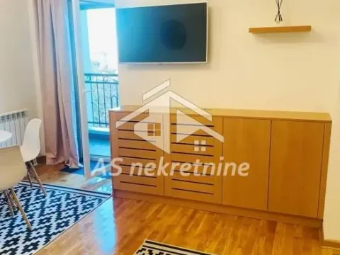 Izdavanje, dvosoban stan, 43m², Botanička Bašta, Palilula Sve Podlokacije - image 3