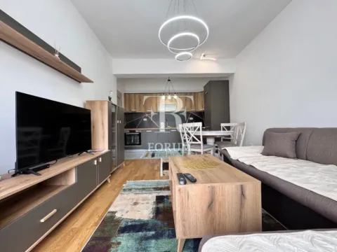 Izdavanje, dvosoban stan, 75m², Stara Varoš, Podgorica - image 3