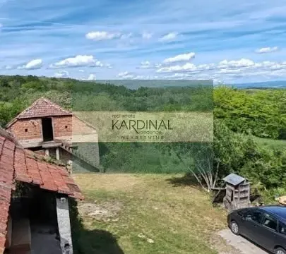 Prodaja, kuća, 250m², Crnče, Jagodina - image 6