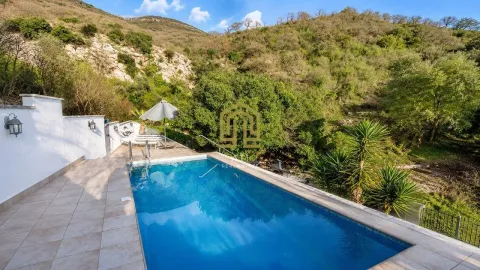 Outdoor swimming pool with a terrace and sun loungers surrounded by lush greenery. - image 9