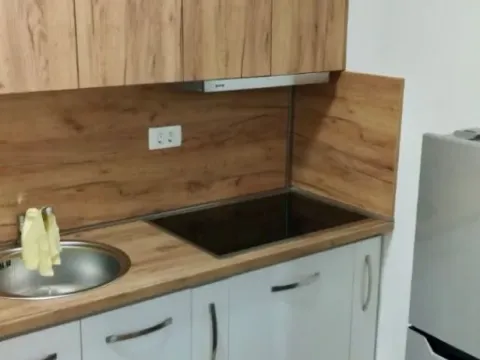 Izdavanje, jednosoban stan, 43m², Stari Aerodrom, Podgorica - image 5