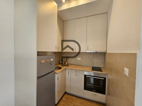 Izdavanje, jednosoban stan, 40m², Zagorič, Podgorica - image 6