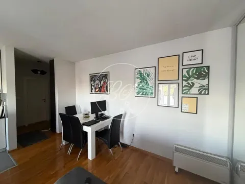 Prodaja, jednosoban stan, 48m², Zemun Sve Podlokacije, Beograd - image 5
