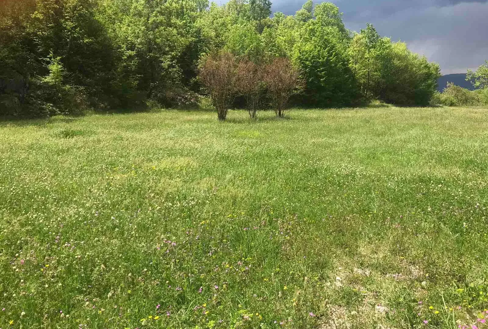 Prodaja, plac, 5000m², Danilovgrad, Crna Gora