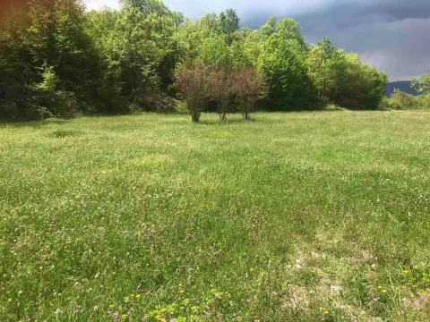 Prodaja, plac, 5000m², Danilovgrad, Crna Gora - image 2